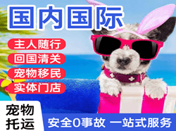 哈密伊州机场货运国际宠物托运 【国